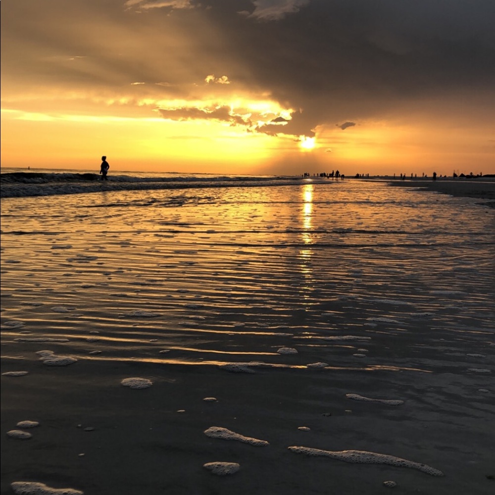 Meet your Posher, Sophie